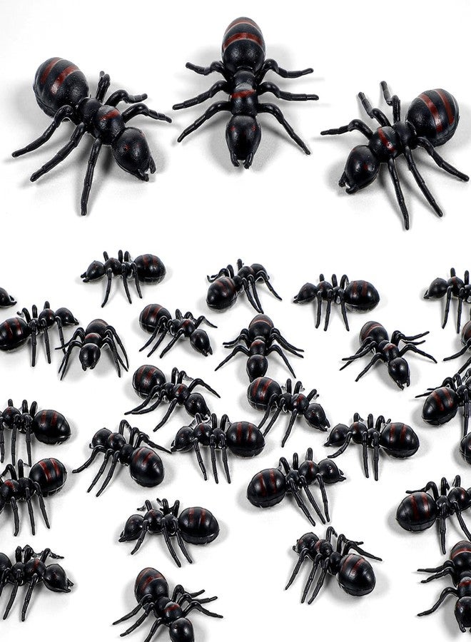 Aysatogc 30 PCS Big Plastic Ants, 1.6" Black Ant Realistic, Black Plastic Mock Reptile Insects, Halloween Prank Props for Party Decoration Supplies April Fool's Day Props - Image 1